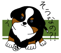 Bernese baby. sticker #9926334