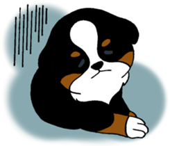 Bernese baby. sticker #9926335