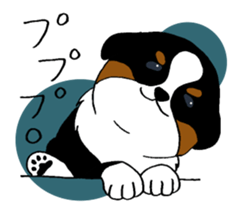 Bernese baby. sticker #9926337