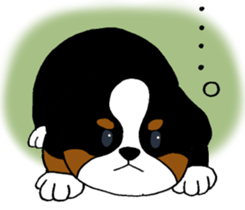 Bernese baby. sticker #9926340