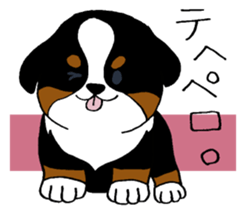 Bernese baby. sticker #9926344
