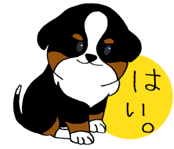 Bernese baby. sticker #9926345
