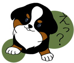 Bernese baby. sticker #9926346