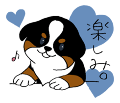 Bernese baby. sticker #9926348