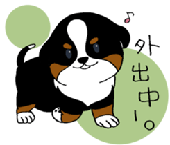 Bernese baby. sticker #9926350