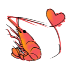 shrimp sticker english ver. sticker #9926633
