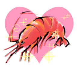 shrimp sticker english ver. sticker #9926666
