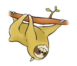 NAMAKEMONO a sloth sticker #9927484