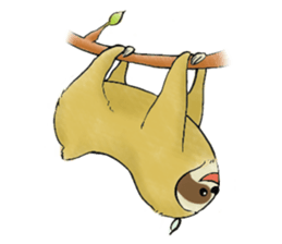 NAMAKEMONO a sloth sticker #9927485