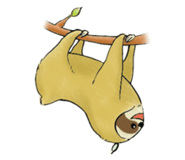 NAMAKEMONO a sloth sticker #9927485