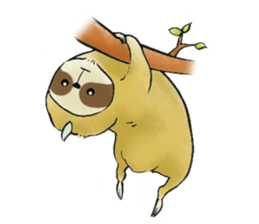 NAMAKEMONO a sloth sticker #9927487