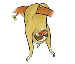 NAMAKEMONO a sloth sticker #9927504