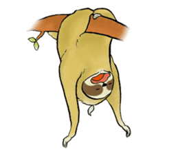 NAMAKEMONO a sloth sticker #9927504