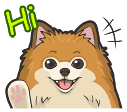 Hi! Pomeranian sticker #9929593