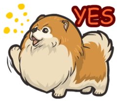 Hi! Pomeranian sticker #9929599