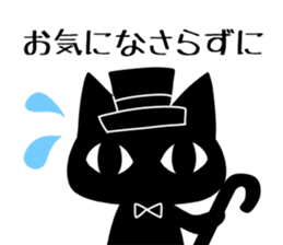 Black cat ordinary 2 sticker #9930086