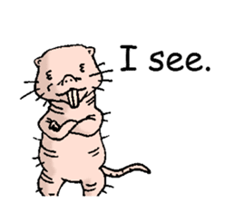 naked mole rat english01 sticker #9932432
