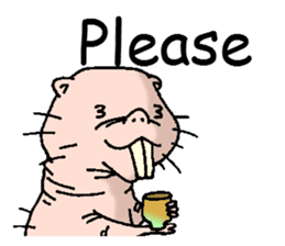 naked mole rat english01 sticker #9932434
