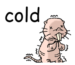 naked mole rat english01 sticker #9932435