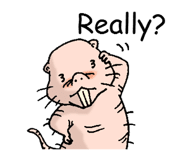 naked mole rat english01 sticker #9932440
