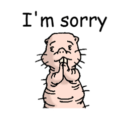 naked mole rat english01 sticker #9932441