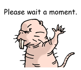 naked mole rat english01 sticker #9932442