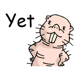 naked mole rat english01 sticker #9932445