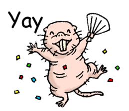 naked mole rat english01 sticker #9932447