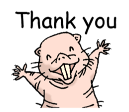 naked mole rat english01 sticker #9932451