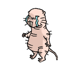 naked mole rat english01 sticker #9932452