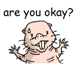 naked mole rat english01 sticker #9932455
