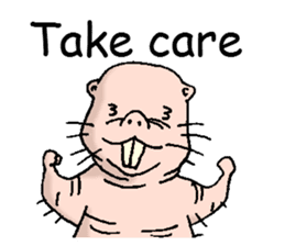 naked mole rat english01 sticker #9932457