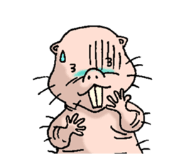 naked mole rat english01 sticker #9932459