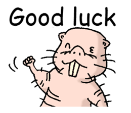 naked mole rat english01 sticker #9932461