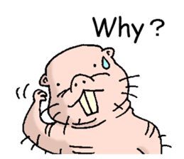 naked mole rat english01 sticker #9932467
