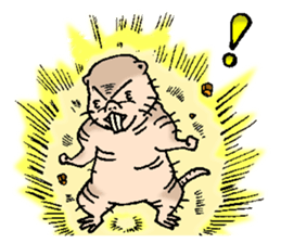 naked mole rat english01 sticker #9932468