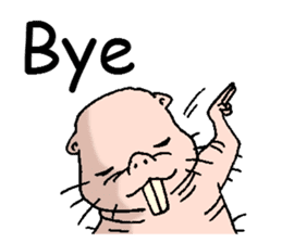 naked mole rat english01 sticker #9932470