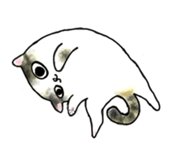 AMIOAZ & MACHI KITTY sticker #9932564