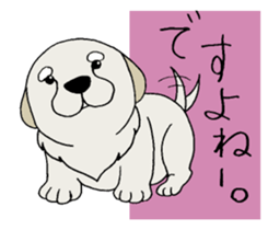 Golden Retriever baby. sticker #9933120