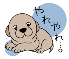 Golden Retriever baby. sticker #9933121