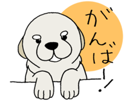 Golden Retriever baby. sticker #9933122