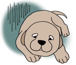 Golden Retriever baby. sticker #9933135