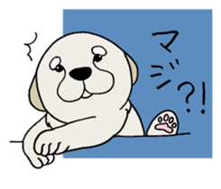 Golden Retriever baby. sticker #9933136