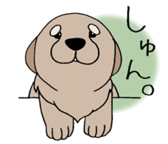 Golden Retriever baby. sticker #9933143