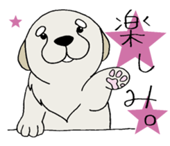 Golden Retriever baby. sticker #9933148