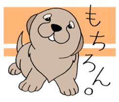 Golden Retriever baby. sticker #9933149