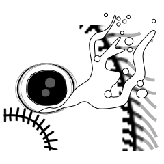 Rabbit of Disheveled Hair 2