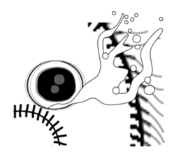 Rabbit of Disheveled Hair 2 sticker #9933520