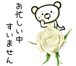 rose bear sticker #9934000