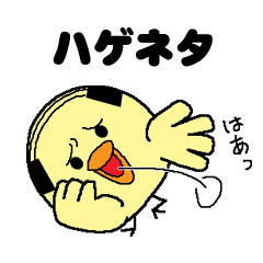 Bald bird three brothers